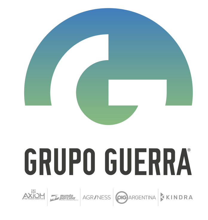 Grupo Guerra